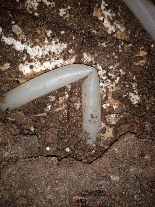 海兴堵点精准查找